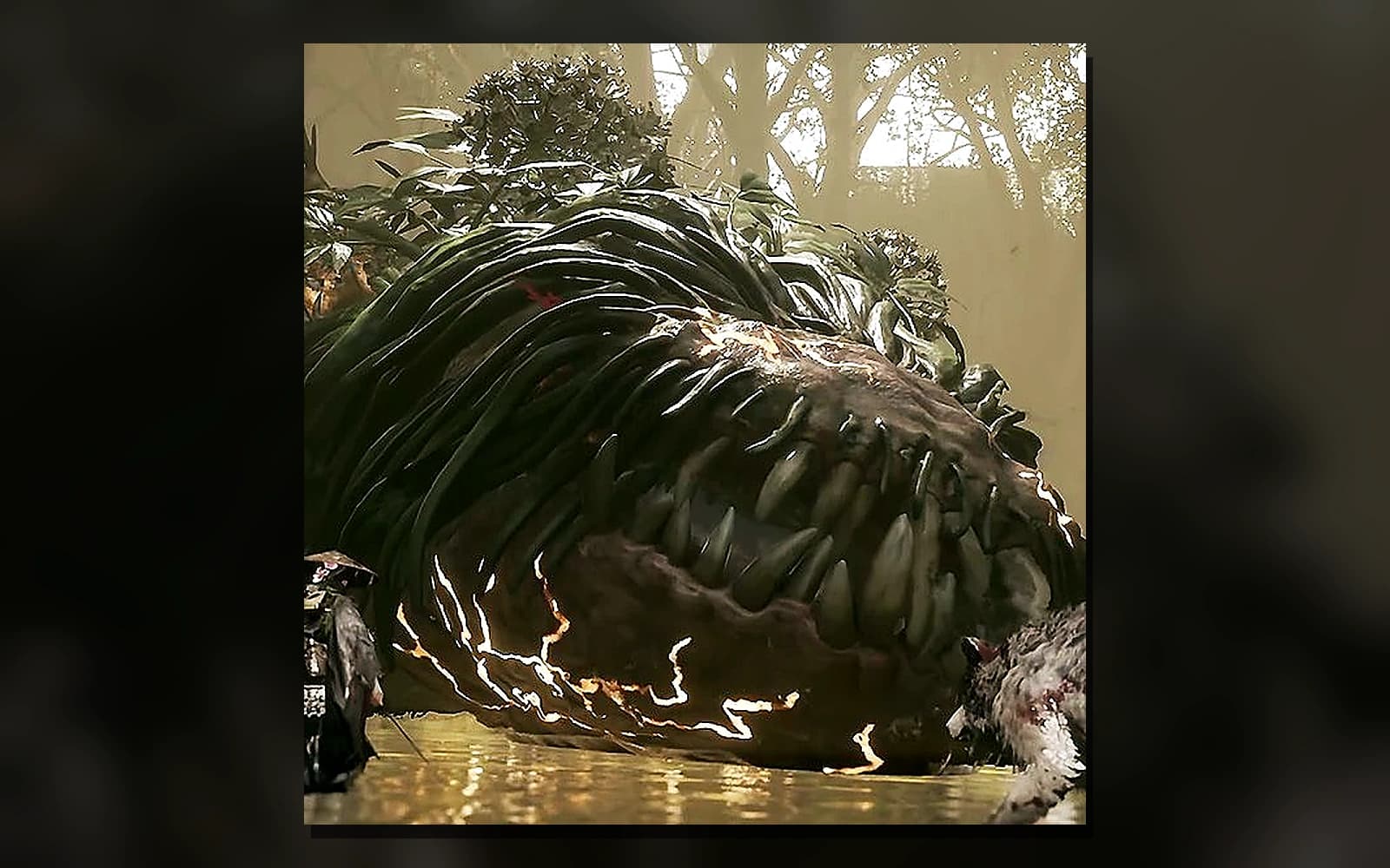 Lacerta in Beast of Reincarnation