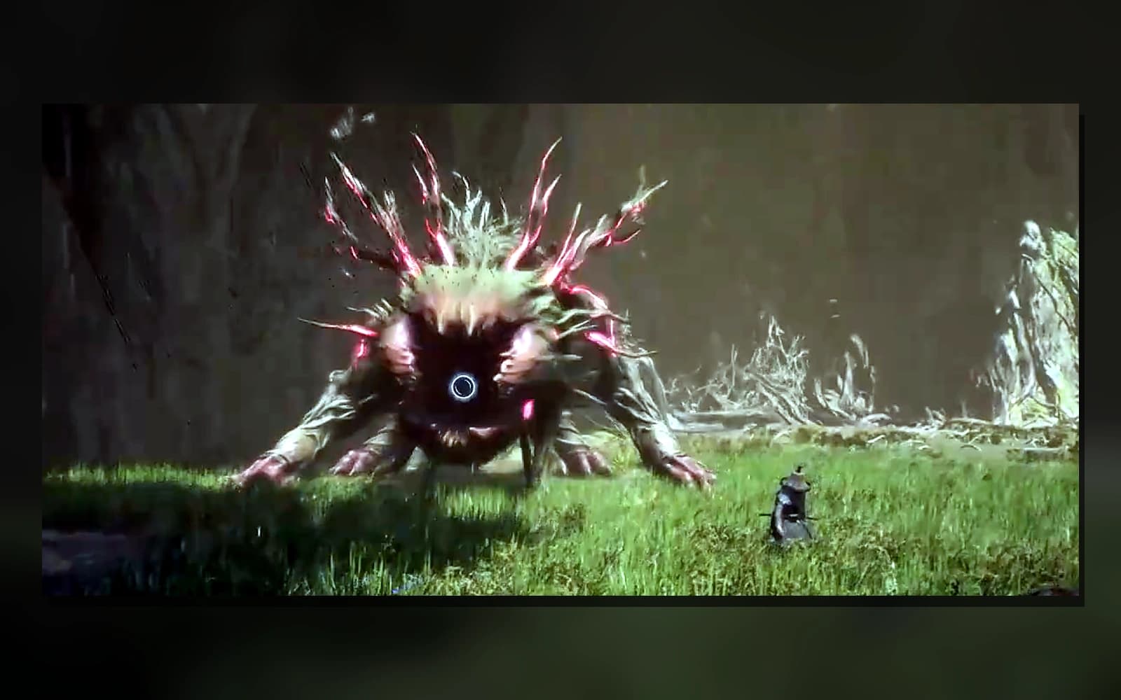Ursa in Beast of Reincarnation